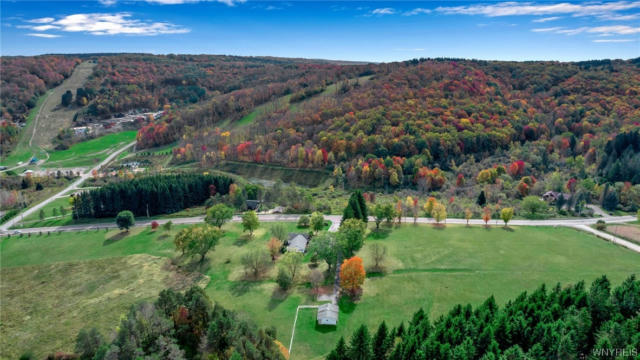 0 NYS ROUTE 242, ELLICOTTVILLE, NY 14731 - Image 1