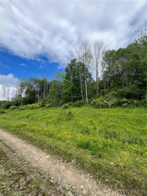 TBB LOT #21 42 DEGREES NORTH, ELLICOTTVILLE, NY 14731, photo 2 of 22