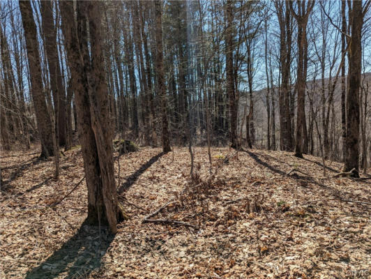 LOT 3 DOMSER ROAD, BOONVILLE, NY 13309, photo 2 of 3