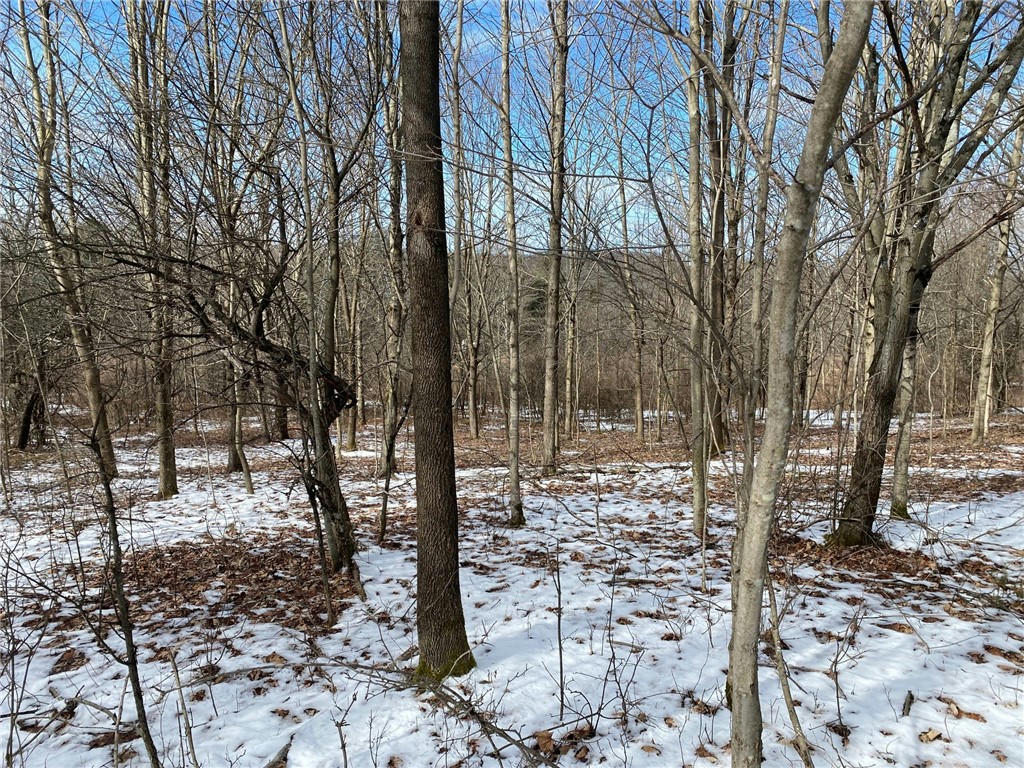 LOT #9 COUNTY HIGHWAY 14, MOUNT VISION, NY 13810, photo 1 of 20
