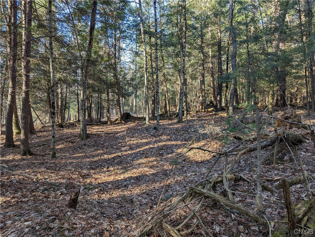 LOT 32 PINE LANE (OFF WETMORE RD), GLENFIELD, NY 13343, photo 1 of 5