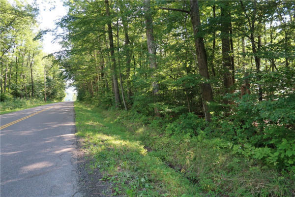 LOT 8 GERMAN ROAD, WILLET, NY 13863 - Image 1