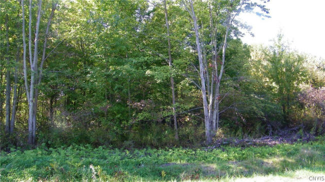 LOT #1 MARTIN ROAD, CONSTANTIA, NY 13042 - Image 1