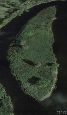 CR53 - ACCADIAN ISLAND, BRASHER FALLS, NY 13613, photo 3 of 24