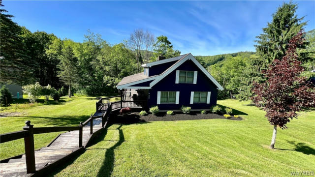 6885 SPRINGS RD, ELLICOTTVILLE, NY 14731 - Image 1