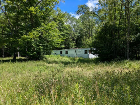 95 SPRESTER RD, CYCLONE, PA 16726 - Image 1