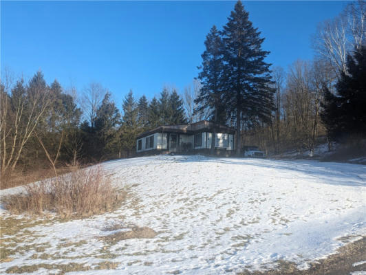 794 RIVER ROAD, BUTTERNUTS, NY 13776 - Image 1