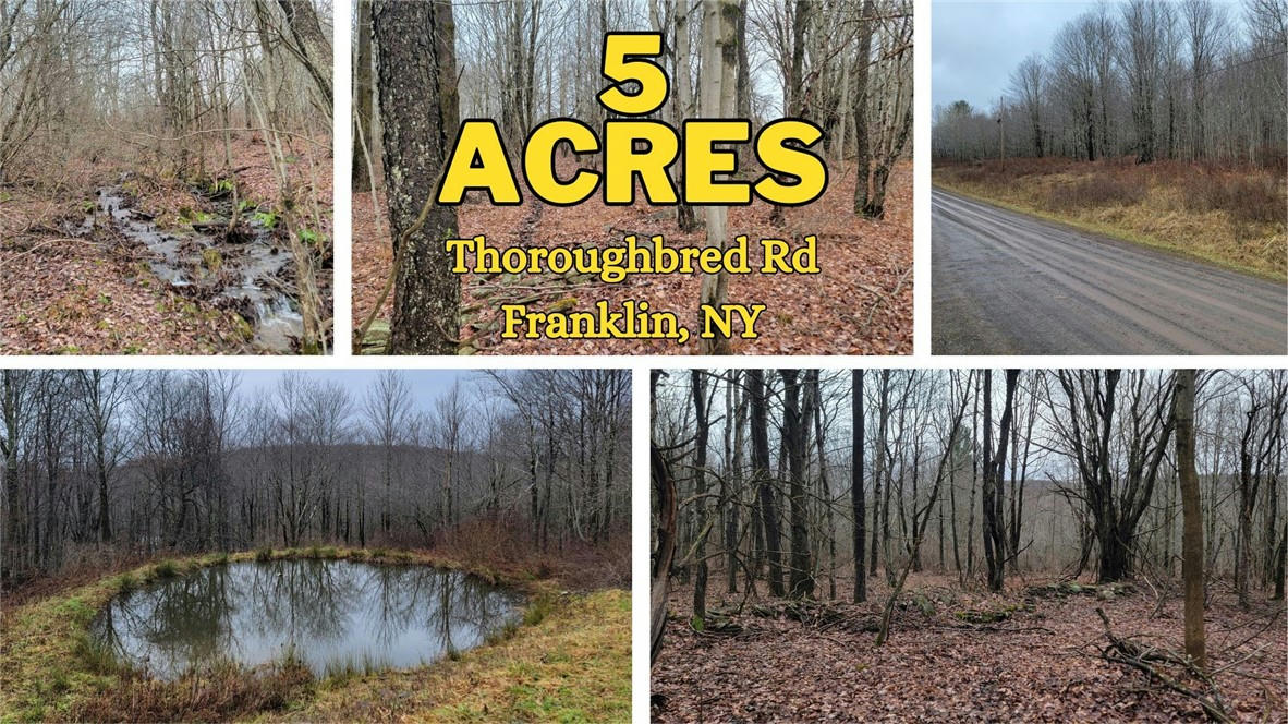 LOT 29 THOROUGHBRED ROAD, FRANKLIN, NY 13775, photo 1 of 38