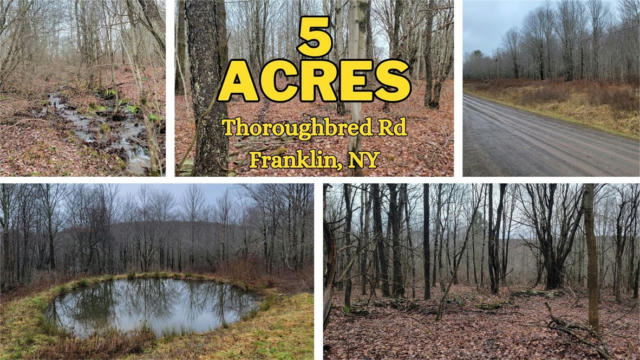 LOT 29 THOROUGHBRED ROAD, FRANKLIN, NY 13775 - Image 1
