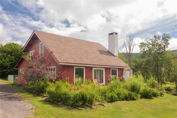 770 MITCHELL HOLLOW RD, WINDHAM, NY 12496 - Image 1
