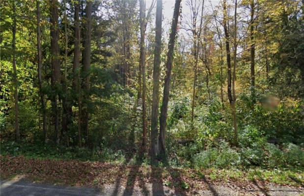 2880 SANDHILL RD LOT 8, NEWARK, NY 14513, photo 2 of 6