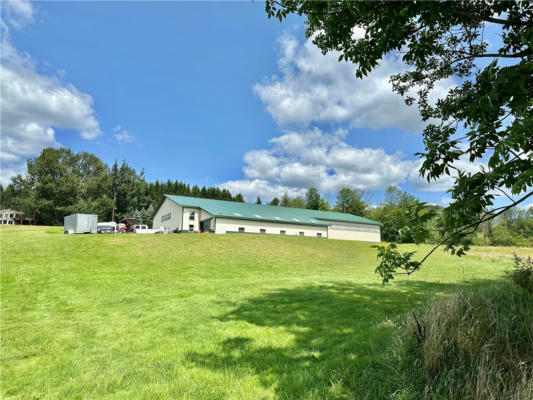 361 PALMITER RD, HARPURSVILLE, NY 13787 - Image 1