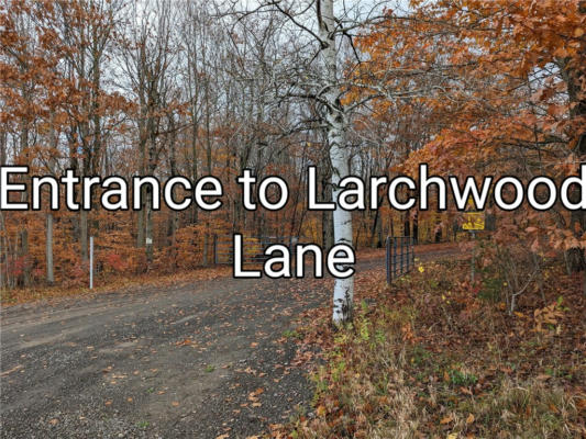 214 LARCHWOOD LN, LAURENS, NY 13796 - Image 1