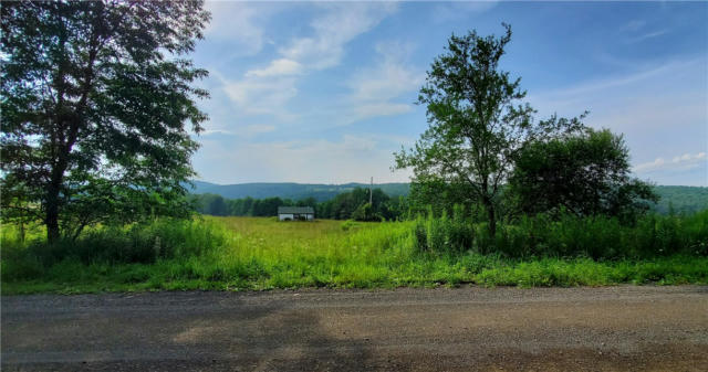 LOT 36.04 BELL HILL ROAD, MORRIS, NY 13776, photo 5 of 27