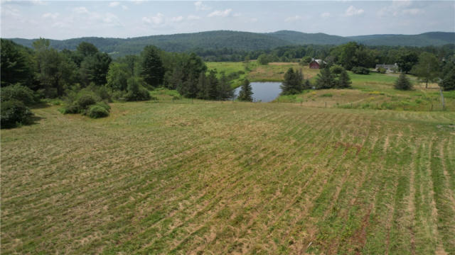 0 STATE HIGHWAY 28, FLY CREEK, NY 13337 - Image 1