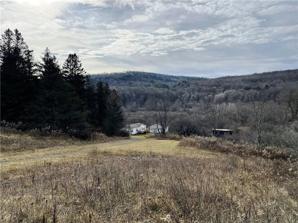 2751 COUNTY ROUTE 16, GEORGETOWN, NY 13072, photo 1 of 50
