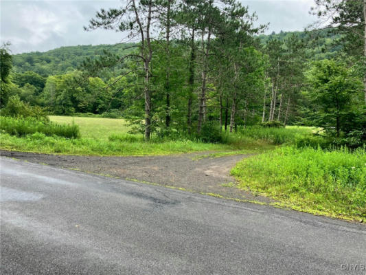 00 ROODS CREEK ROAD, DEPOSIT, NY 13754 - Image 1