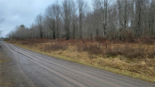 LOT 29 THOROUGHBRED ROAD, FRANKLIN, NY 13775, photo 3 of 38