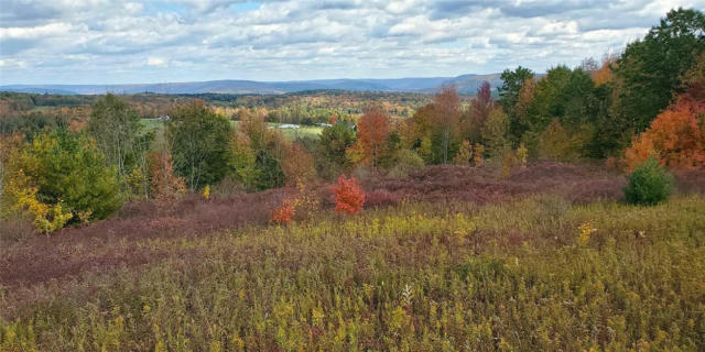 LOT 11.00 HARDKNOCKS ROAD, UNADILLA, NY 13849, photo 2 of 42