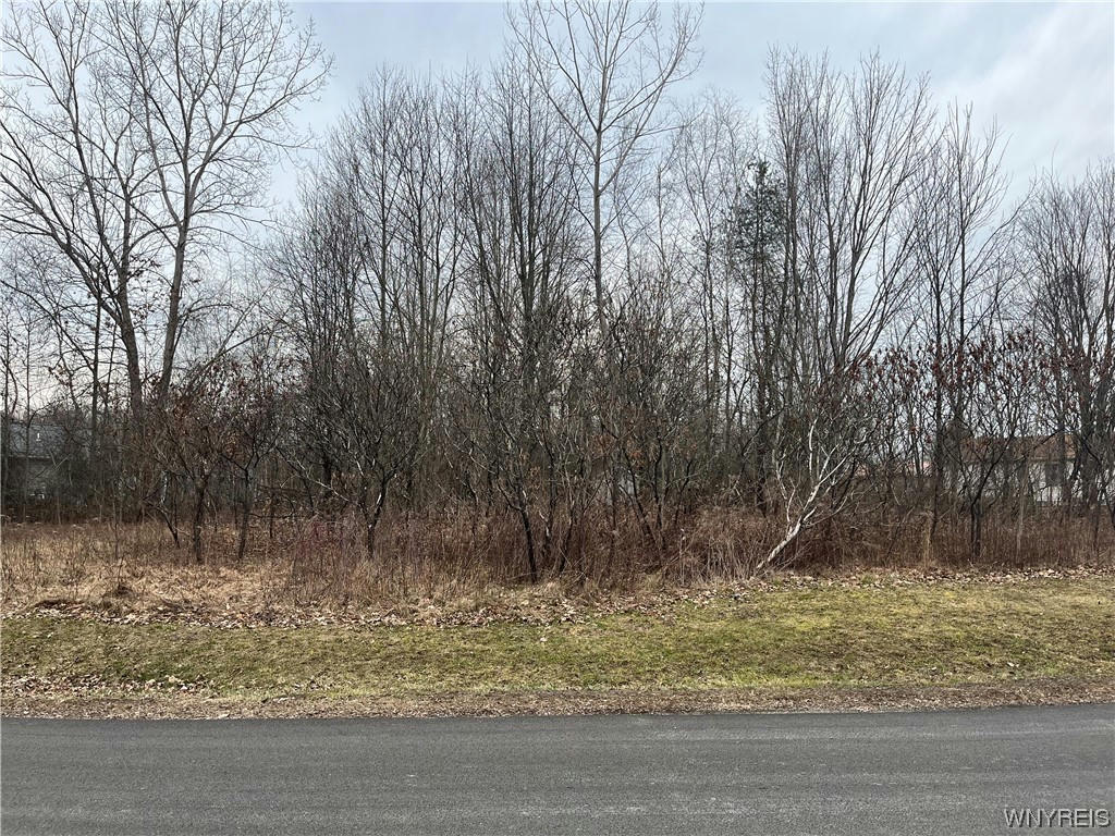 VL SMITHCREST LOT #8 DRIVE, COLLINS, NY 14034, photo 1 of 2