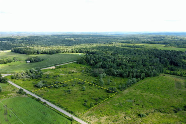 LOT 1 STALEY ROAD, WILLET, NY 13863 - Image 1