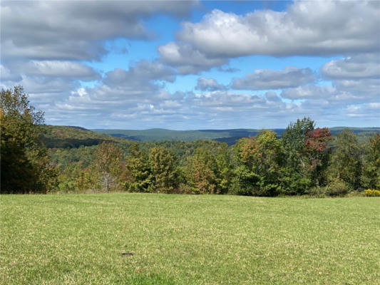 LOT 18.1 TURNPIKE ROAD, EAST MEREDITH, NY 13757, photo 4 of 45
