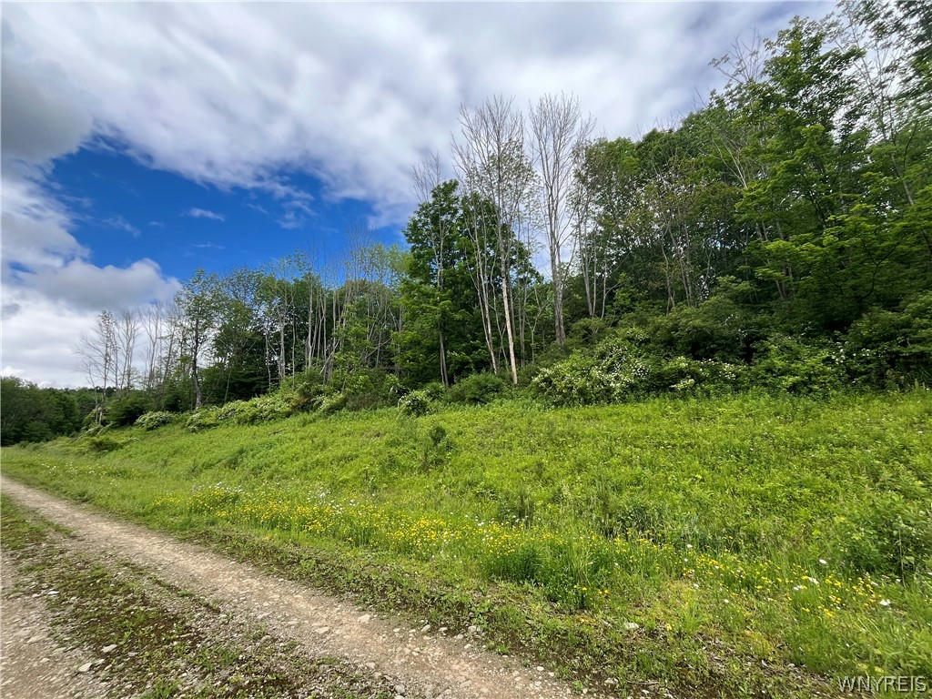 TBB LOT #21 42 DEGREES NORTH, ELLICOTTVILLE, NY 14731, photo 1 of 22