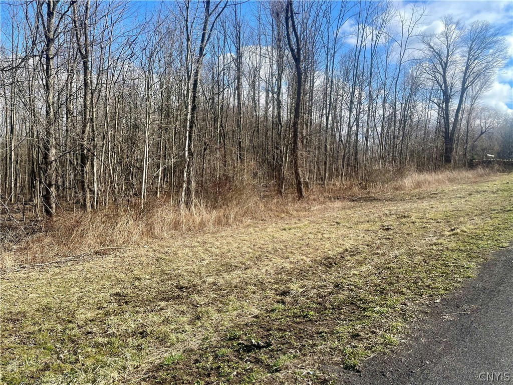 254 KENT RD LOT 1, STERLING, NY 13156, photo 1 of 3