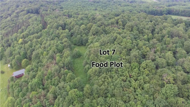 LOT 7 VALLEY VIEW DRIVE, SMYRNA, NY 13464 - Image 1