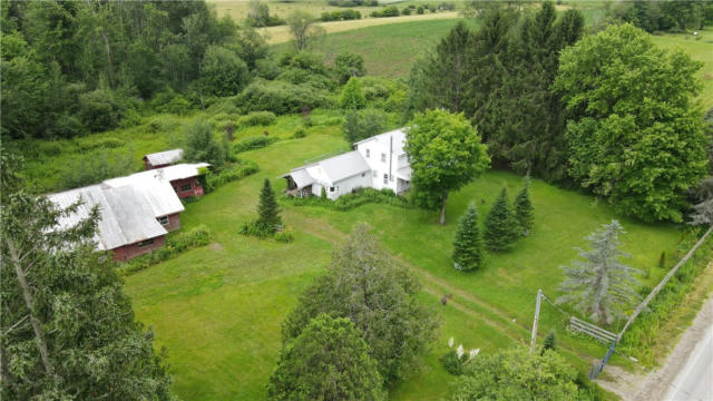 12019 SEAGER HILL RD, CONEWANGO VALLEY, NY 14726 - Image 1
