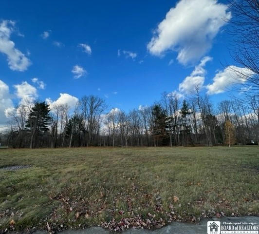 3236 CRANBERRY RD, OLEAN, NY 14760, photo 1 of 7