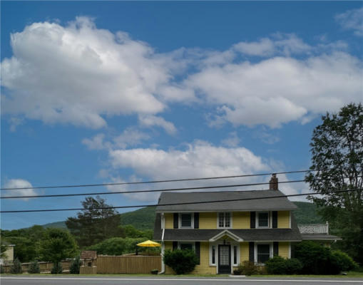 11025 ROUTE 23, WINDHAM, NY 12496 - Image 1
