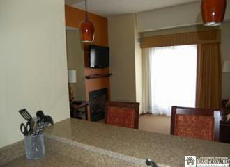 6557 HOLIDAY VALLEY RD # 301, ELLICOTTVILLE, NY 14731, photo 3 of 8