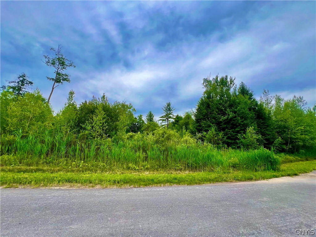 LOT 6 FOREST RIDGE DRIVE, ROME, NY 13440, photo 1 of 35