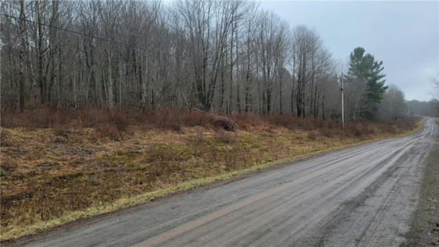LOT 29 THOROUGHBRED ROAD, FRANKLIN, NY 13775, photo 4 of 38