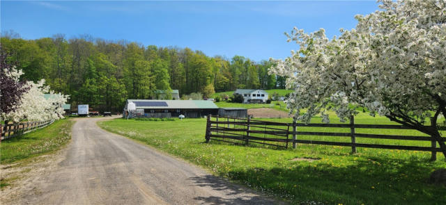 7880 STATE ROUTE 79, WHITNEY POINT, NY 13862 - Image 1