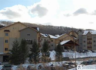 6557 HOLIDAY VALLEY RD # 301, ELLICOTTVILLE, NY 14731, photo 1 of 8
