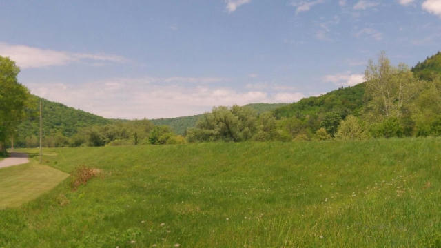 0 OLD MILL ROAD, EAST BRANCH, NY 13756 - Image 1