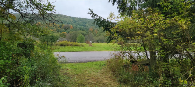 0 N BRANCH ROAD, FRIENDSHIP, NY 14739 - Image 1