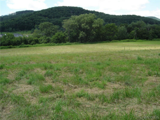 LOT #2 FIVE MILE RD ROAD, ALLEGANY, NY 14706 - Image 1
