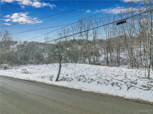 00 HENCOOP HOLLOW ROAD, ELLICOTTVILLE, NY 14731 - Image 1