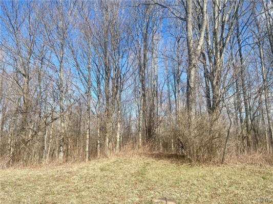 254 KENT RD LOT 2, STERLING, NY 13156, photo 2 of 3