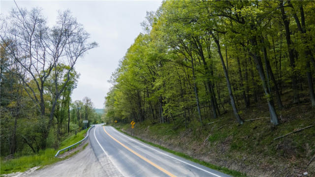0 STATE ROUTE 226, TYRONE, NY 14887 - Image 1