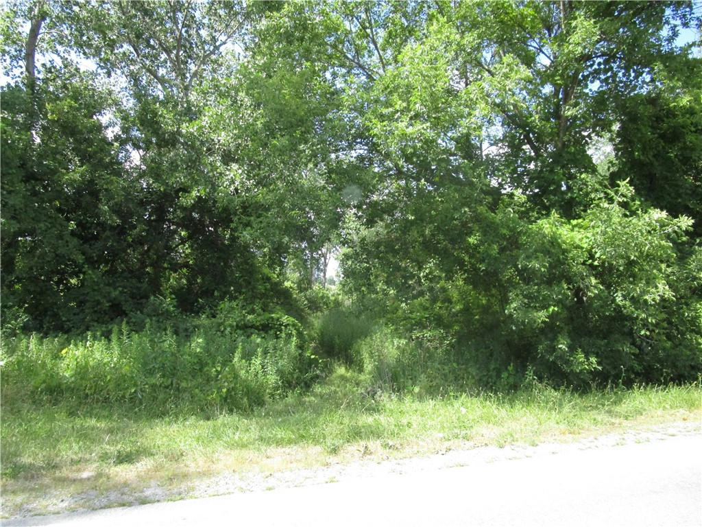 LOT 9 RUSH W RUSH ROAD, RUSH, NY 14543, photo 1