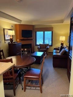 6447 HOLIDAY VALLEY RD # 428-5, ELLICOTTVILLE, NY 14731, photo 3 of 10