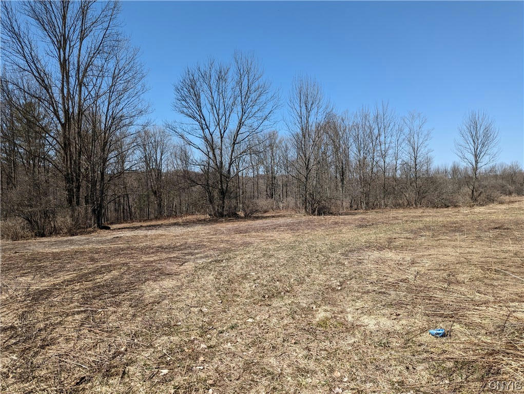 LOT 3 DOMSER ROAD, BOONVILLE, NY 13309, photo 1 of 3