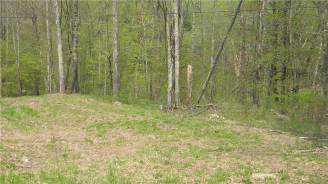 1361 WEAVER HOLLOW ROAD, ANDES, NY 13731, photo 3 of 10