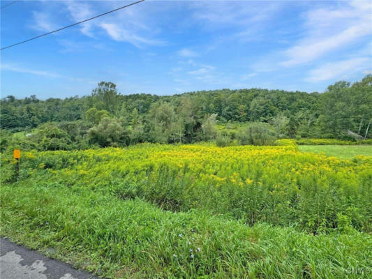 LOT 1 BREWER ROAD, ILION, NY 13357 - Image 1