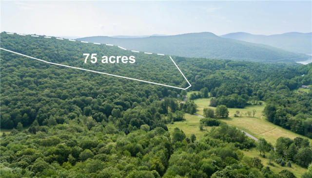 LOT 28.1 SHAVER HOLLOW, ANDES, NY 13731, photo 3 of 24