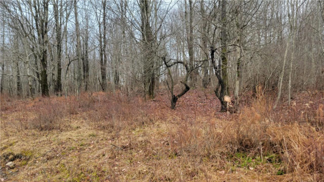 LOT 29 THOROUGHBRED ROAD, FRANKLIN, NY 13775, photo 5 of 38